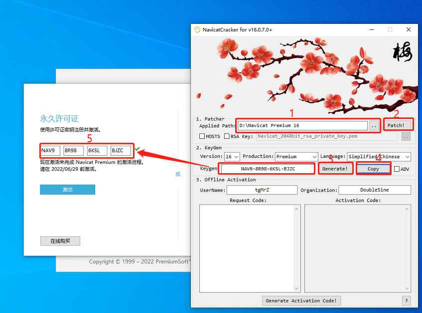 图片[3]-【软件仓库】Navicat Premium 16 下载及激活教程-南逸博客